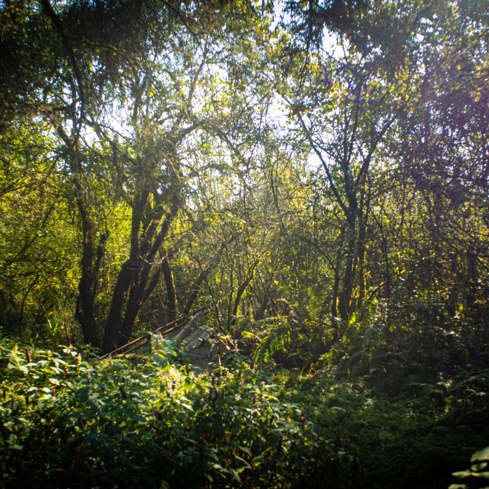 Imagen principal de la propiedad